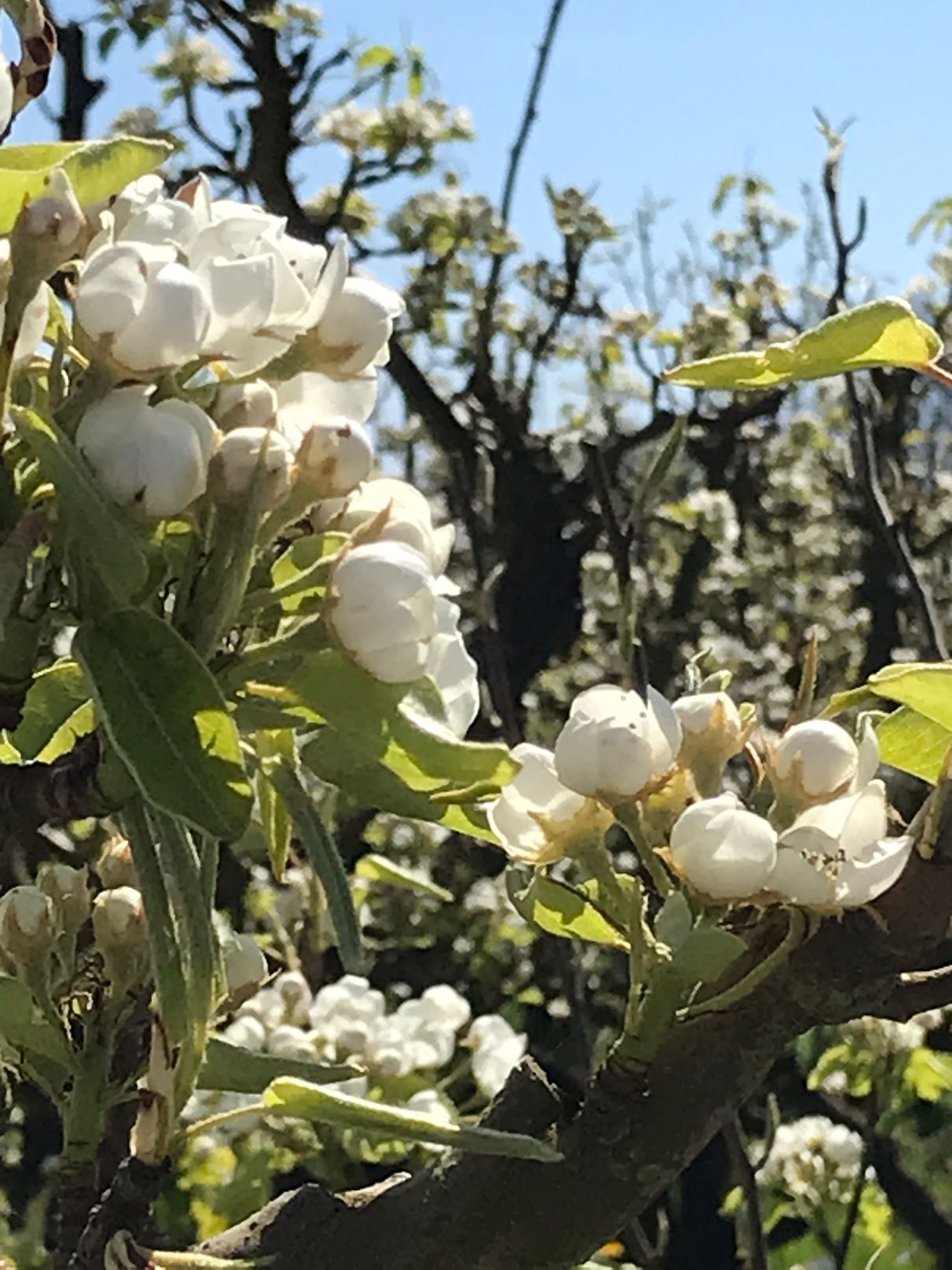 Puur in balans - coaching